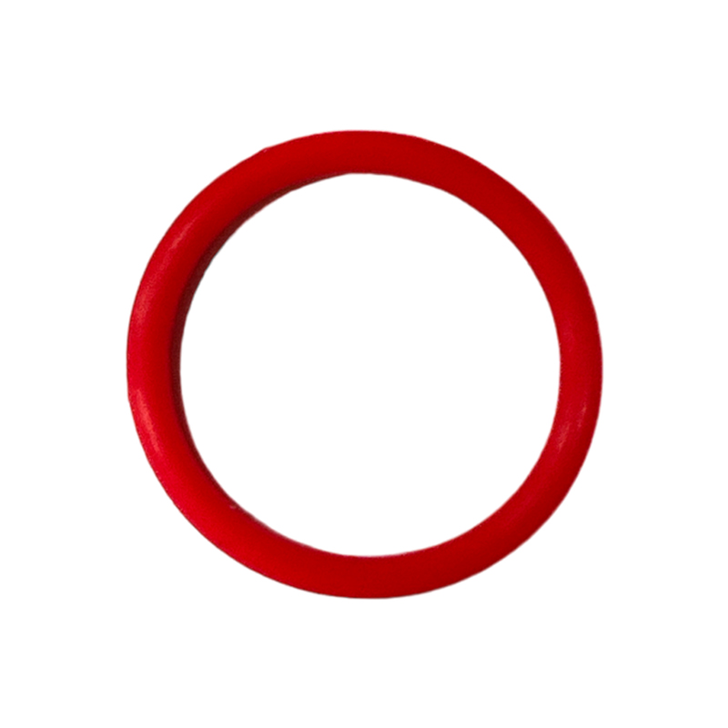 NetSpa o-ring voor adapter