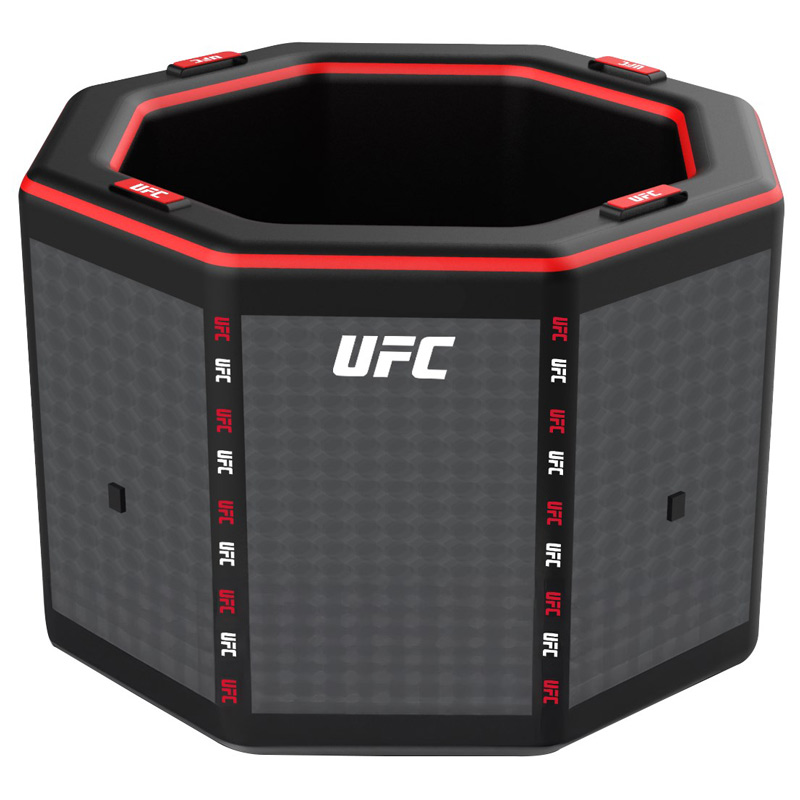 NetSpa UFC ijsbad octagon