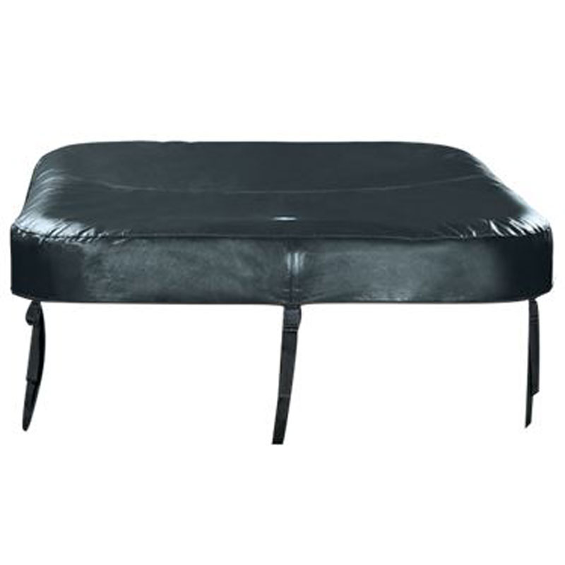 NetSpa Aspen cover
