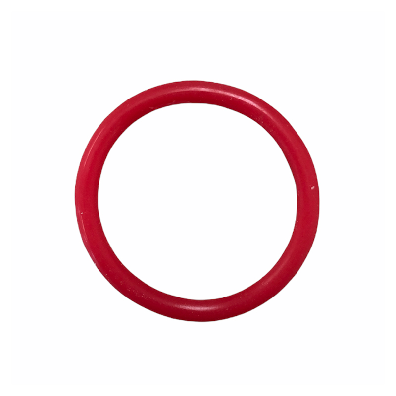 NetSpa Vita Premium O-ring voor filterdeksel