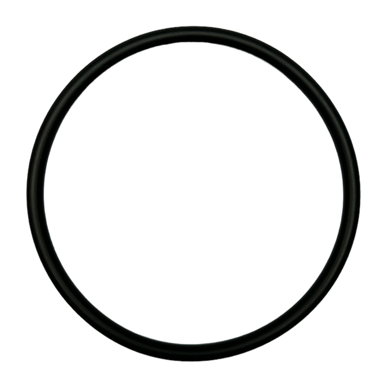 Pentair O-ring voor pompdeksel van Freeflo