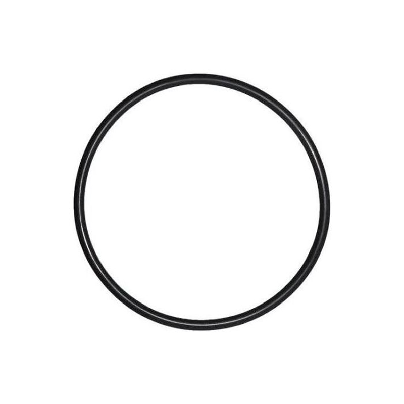 Pentair Triton zandfilter O-ring (R152501W)