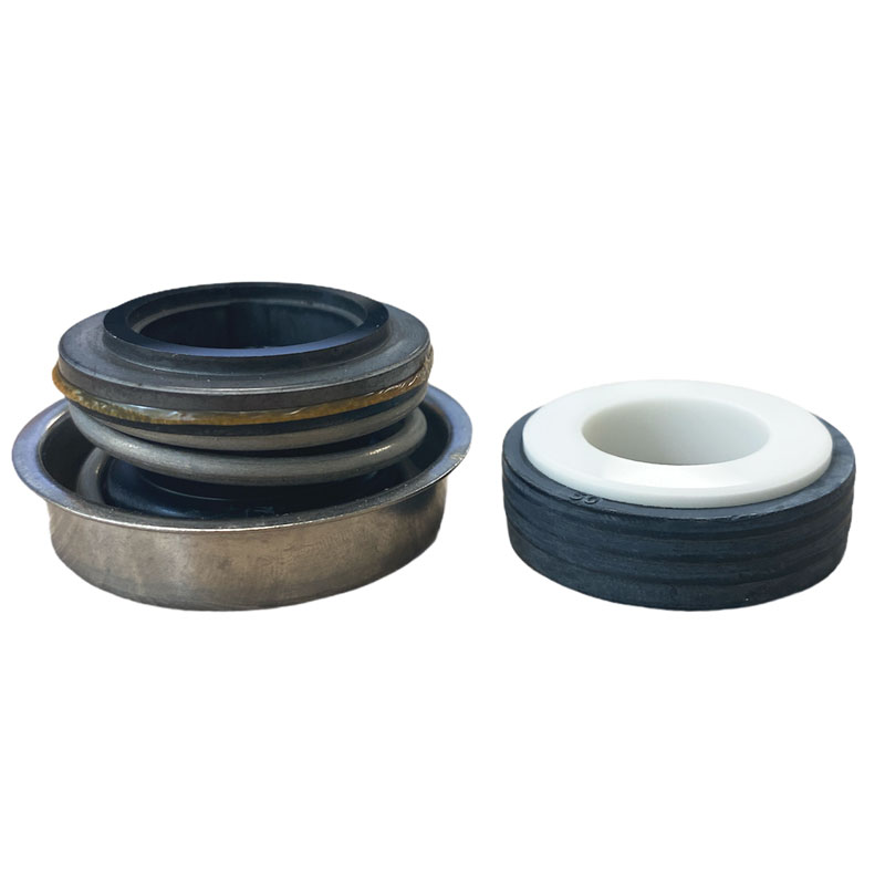 Pentair mechanische seal voor WhisperFlo/Performance 