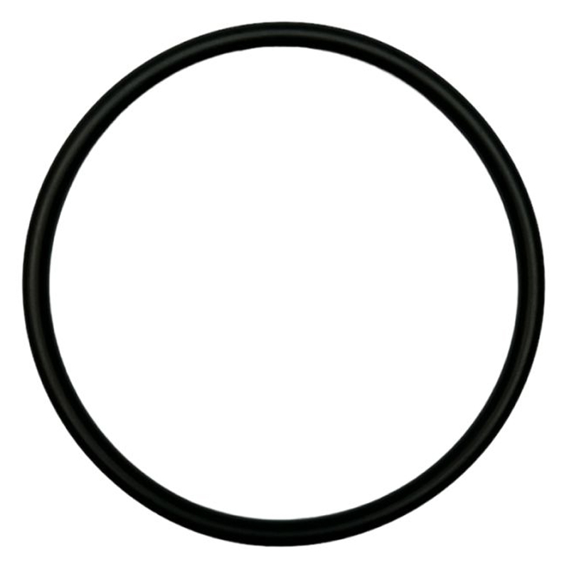 Poolex Turbo Salt O-ring