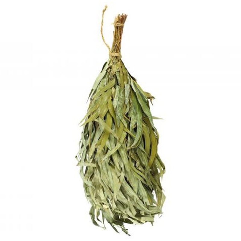 Rento sauna takken eucalyptus