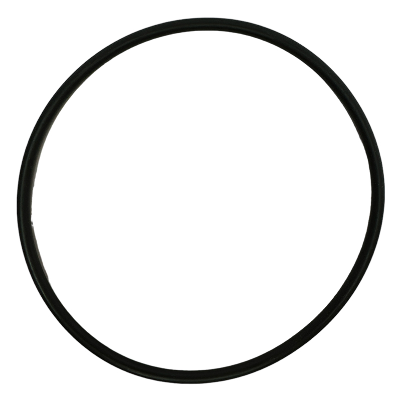 Speck O-ring voor deksel Badu Prime/Gamma zwembadpomp