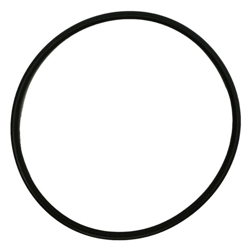 Speck O-ring voor deksel Badu Magic zwembadpomp