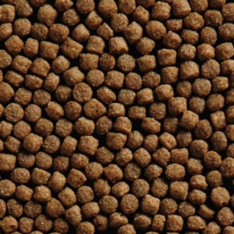 Vivani Wheat Germ 6mm | 15kg